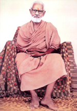 His Holiness Swami Vishnu Tirthji